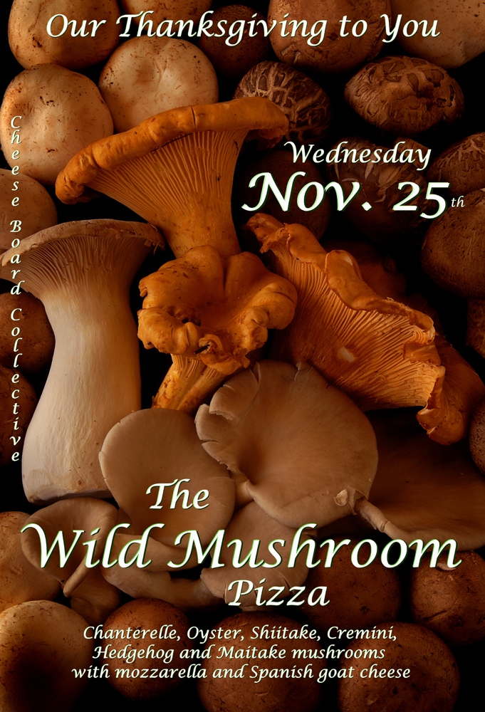 Thanksgiving mushrooms 15 web